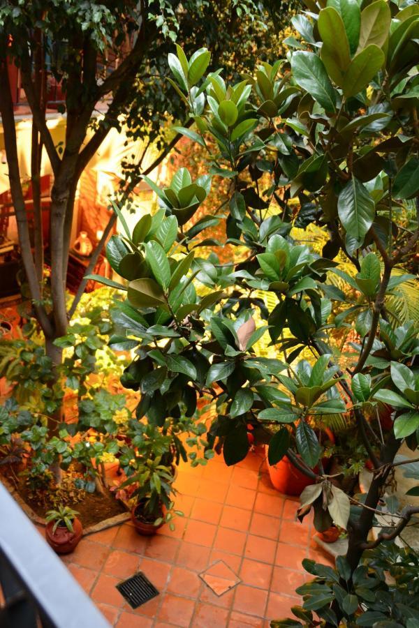 Hotel Casa Guiva Oaxaca Exteriör bild