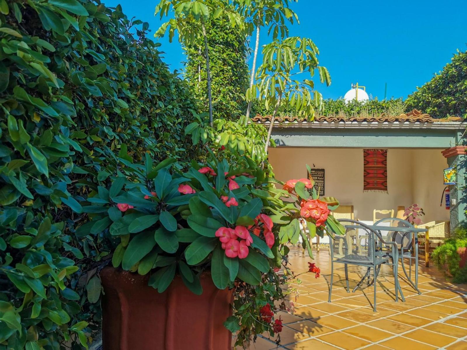 Hotel Casa Guiva Oaxaca Exteriör bild